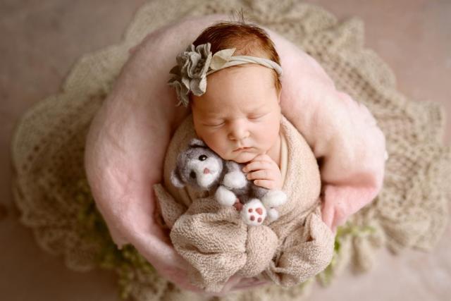 Newborn baby in a basket shooting Cologne